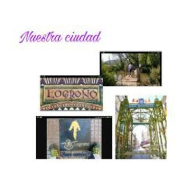 ÁTICO CON ENCANTO EN EL CENTRO DE LOGROÑO - Apartamento de 2 dormitorios - 29