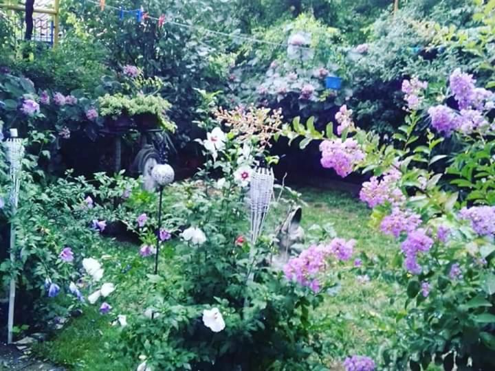 Hostel -Sema - Budget Twin Room - 4