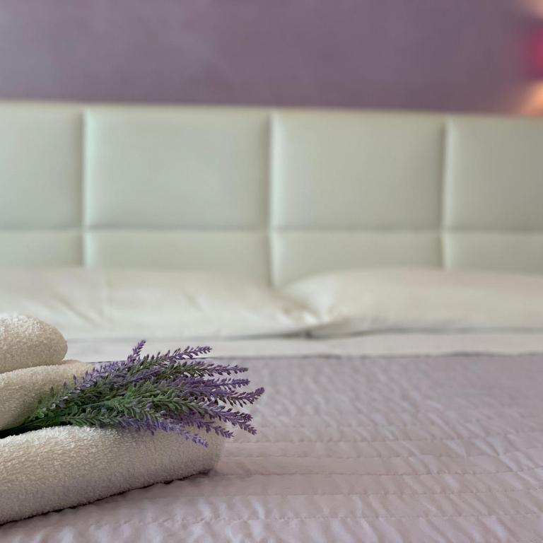 Hotel Palma Benessere - Camera Matrimoniale con Accesso Spa - 2