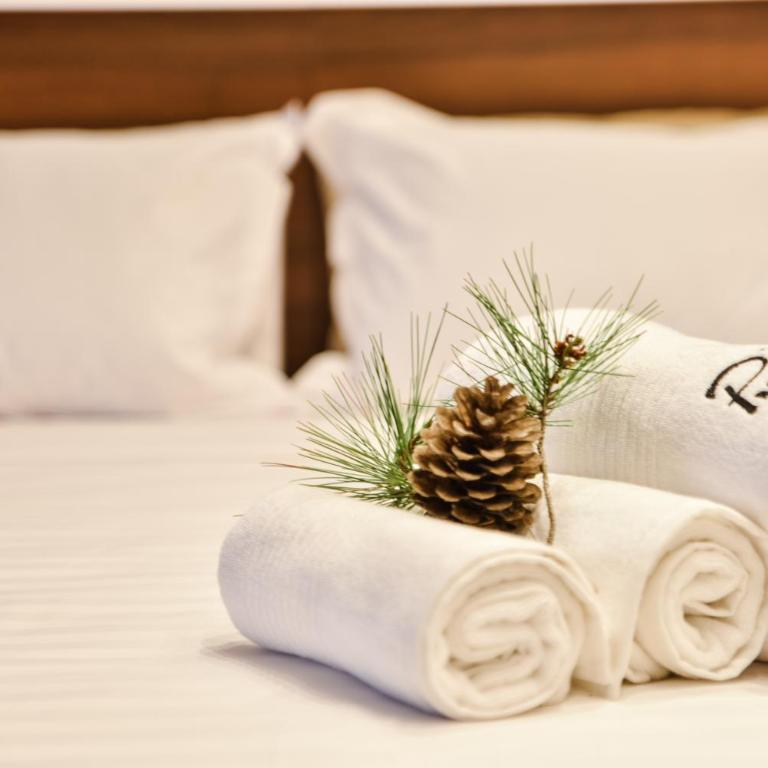 Pino Boutique Hotel - Deluks Dvokrevetna soba sa Bračnim Krevetom, Balkonom i Pogledom na More - 9