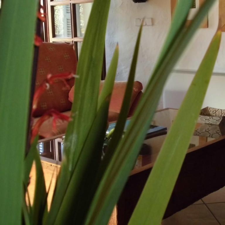 Agroturismo Na Set Centes - Adults Only - Suite - 14
