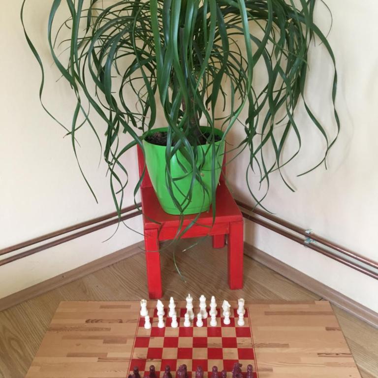 Zvezdica - Apartman sa 2 Spavaće Sobe - 26