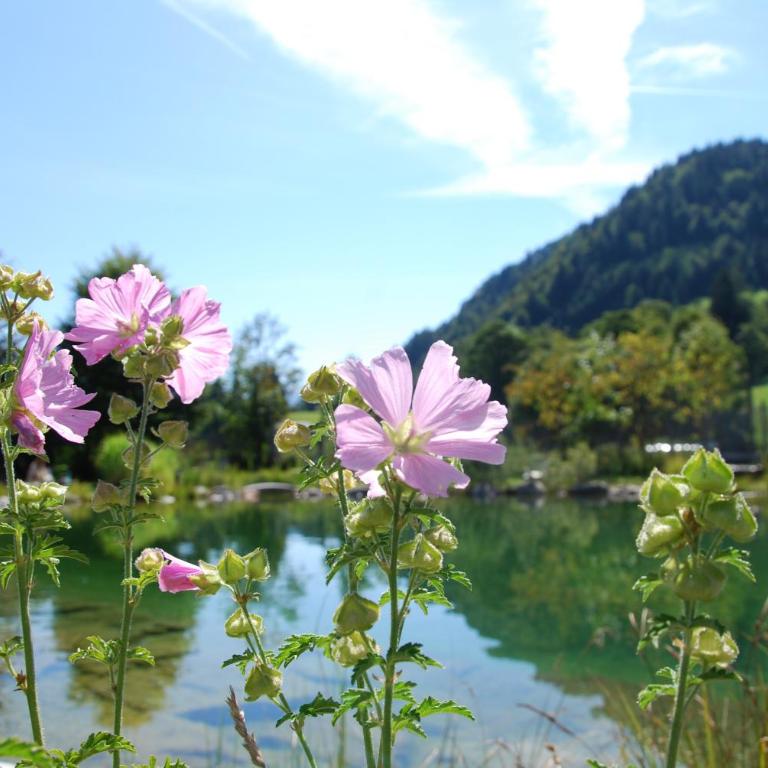 Herbst Alm - Chalet - 23