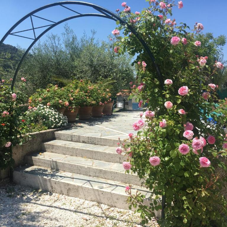 Villa Graziella Perugia - Villa - 31