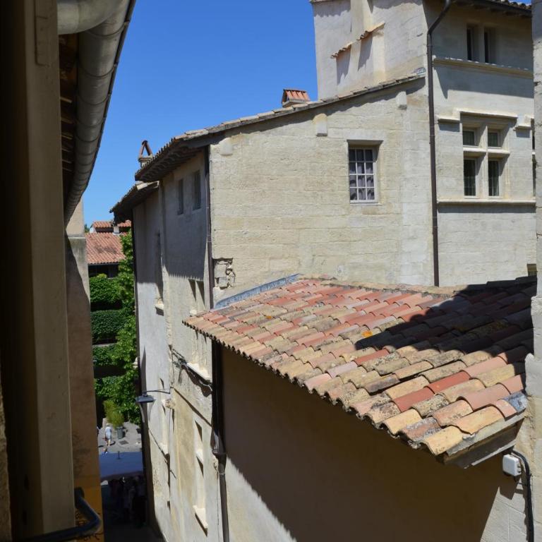 face au Palais des Papes - Appartement - 16