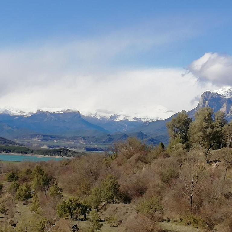 Apartamento El Fenal de Turmo Casa rural "El Capricho de Nieves" - Appartement - Vue sur Jardin - 55