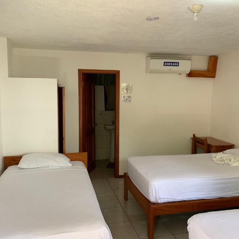 Hostal White House Galapagos - Double Room (3 single beds) - 15