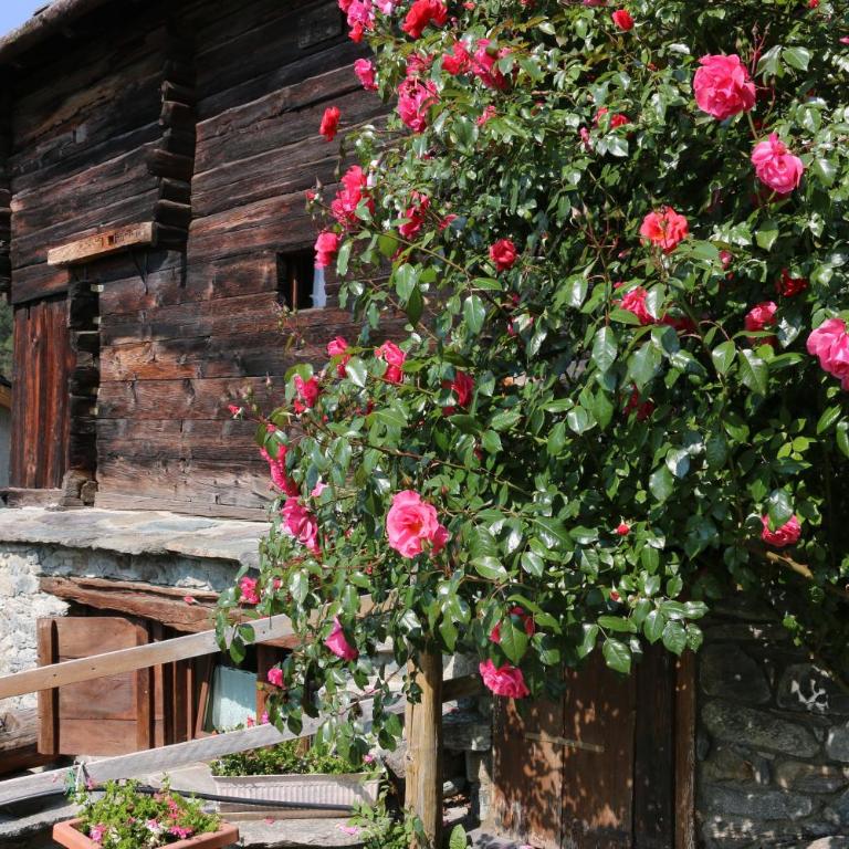 Lo Verdzé di Torgnon - Chalet Supérieur - 7