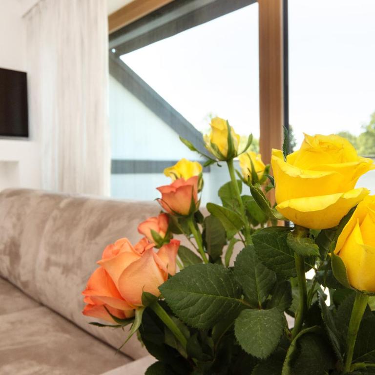 Amedeo Zotti Residence Salzburg - Penthouse-Apartment - 5