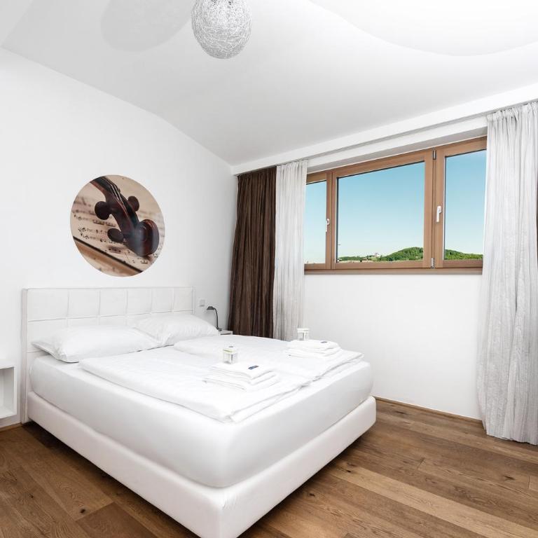 Amedeo Zotti Residence Salzburg - Penthouse-Apartment - 13