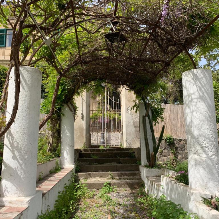 Casa Diana Arianna - Appartamento con Vista Giardino - 19
