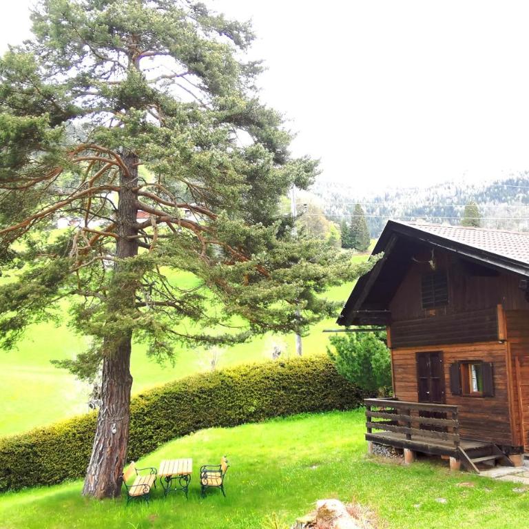 Waldheimat - Apartment mit 2 Schlafzimmern - 6