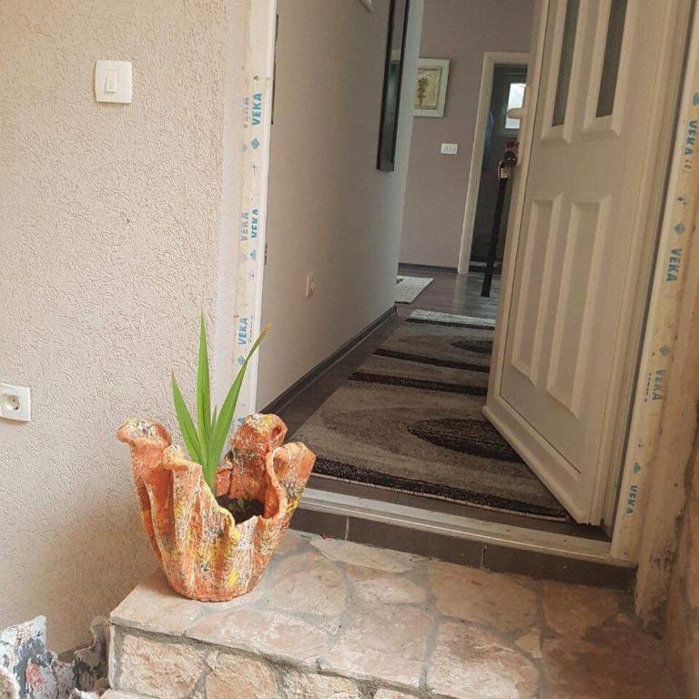Apartman Tajma - Apartman sa 1 Spavaćom Sobom - 8