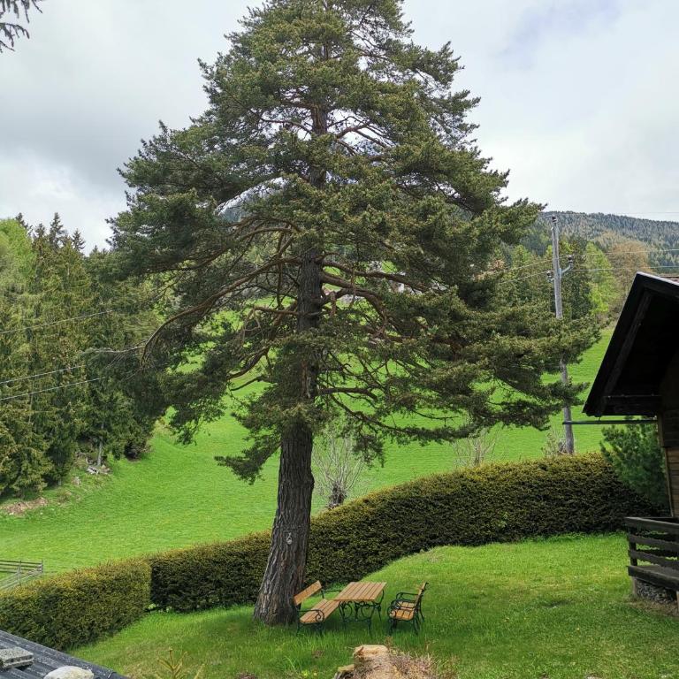 Waldheimat - Apartment mit 2 Schlafzimmern - 8