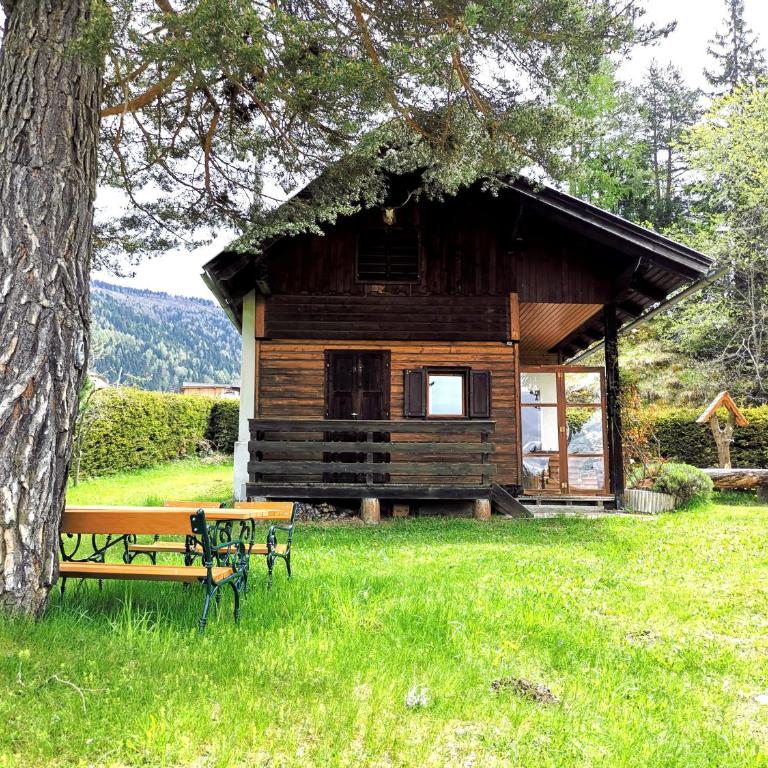 Waldheimat - Apartment mit 2 Schlafzimmern - 7