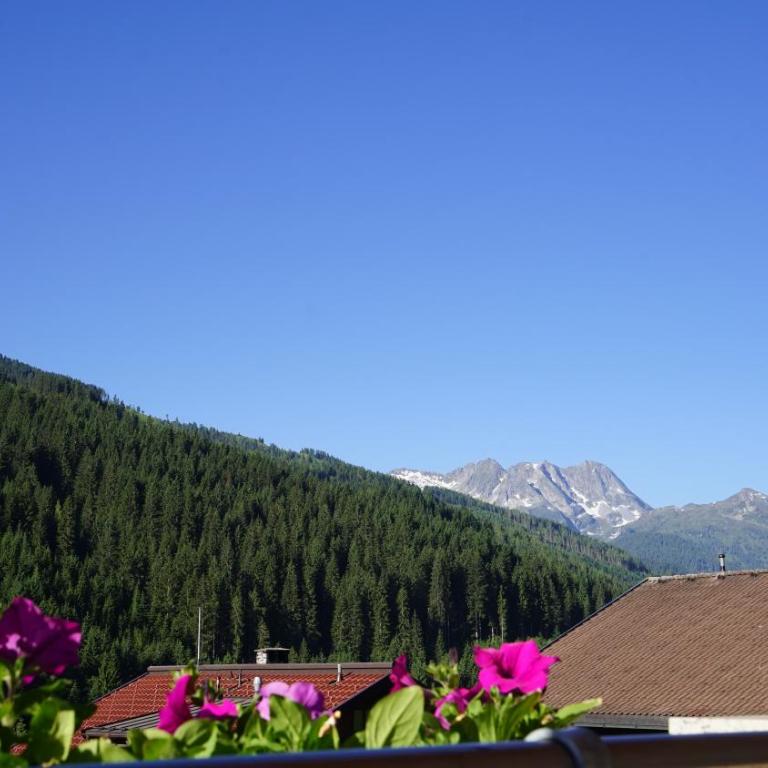 Chalet Lena - Apartamento Deluxe (2 adultos) - 7