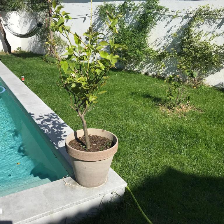 Villa au centre de Nîmes - Townhouse mit 3 Schlafzimmern - 12