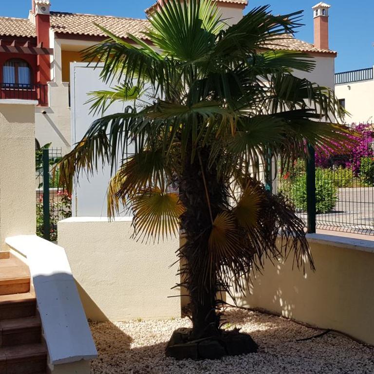 Costa Esuri 3 Bedroom House, Pool Access, Private Parking, Garden BBQ - Casa de 3 dormitorios - 9