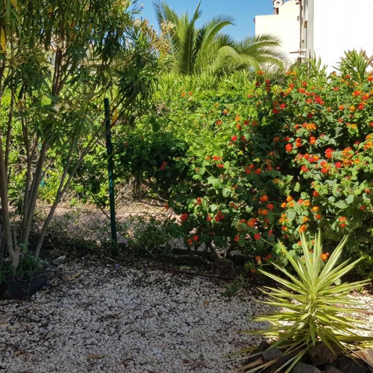 Costa Esuri 3 Bedroom House, Pool Access, Private Parking, Garden BBQ - Casa de 3 dormitorios - 19