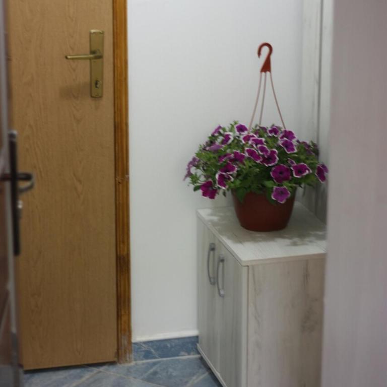 Apartment Voortex - Apartman sa 1 Spavaćom Sobom - 20