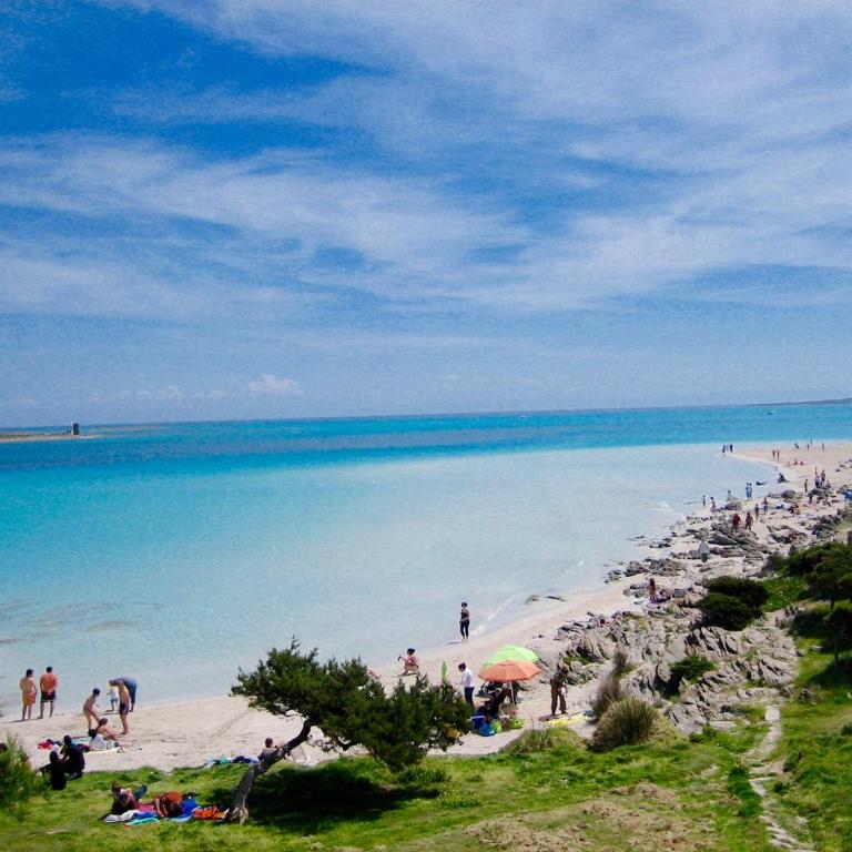 Apartment Arianna 150mt from beach - Appartamento con Vista Mare - 31