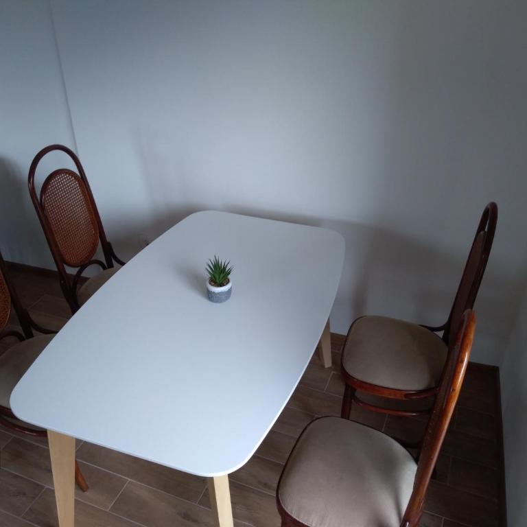 Apartments Villa Čučuk - Apartman - 18