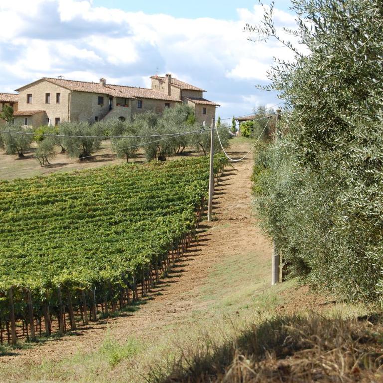 Linearis Holiday House - Appartamento con 1 Camera da Letto - 1