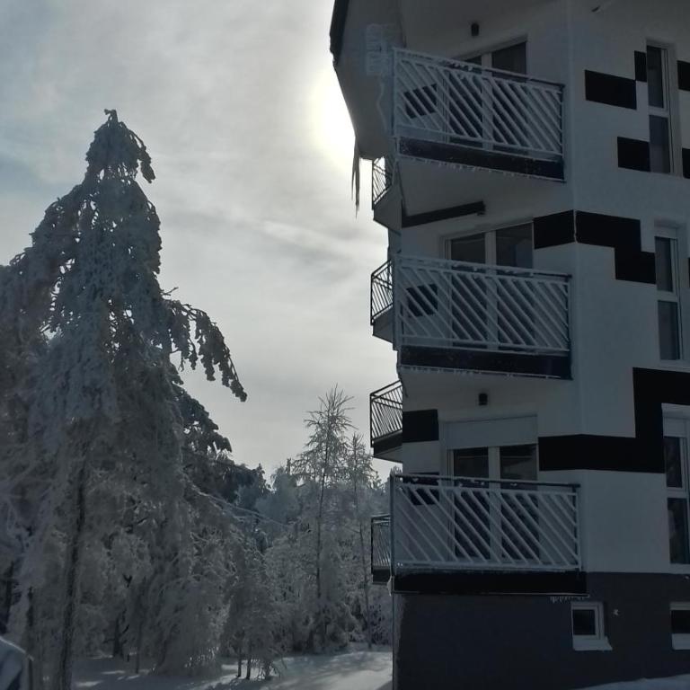 Apartman SREBRNA PAHULJA - One-Bedroom Apartment - 28