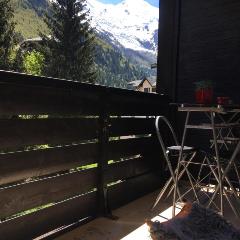 Appartement chamonix face au mont blanc - Studio - 19