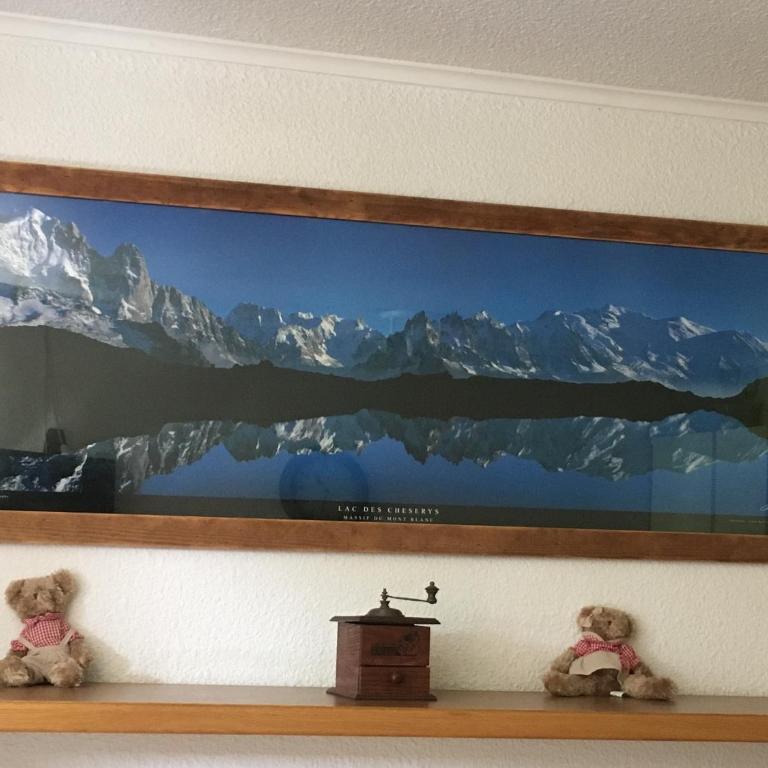 Appartement chamonix face au mont blanc - Studio - 9