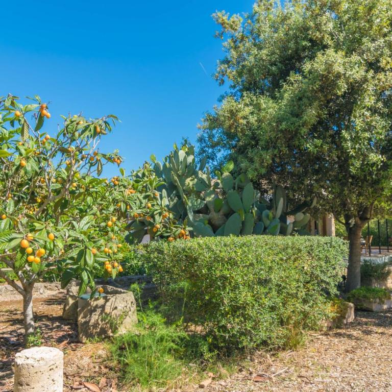 Can Mostatxet - Three-Bedroom Villa - 49