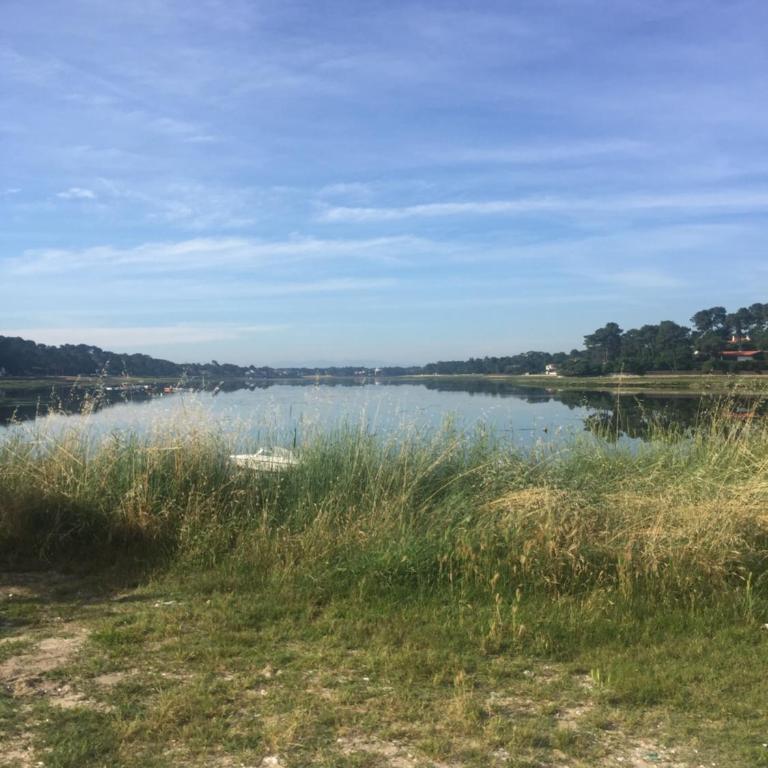 Studio entre lac et océan à Hossegor - Studio-Apartment - 13