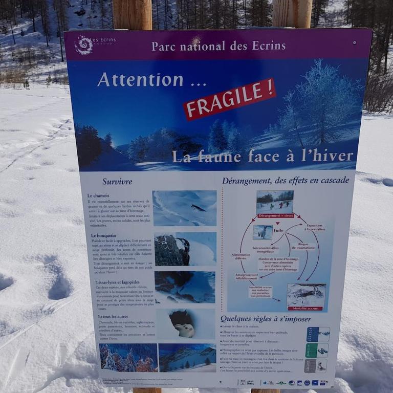 Le Skisun 2 - T3 sur les pistes - Puy St Vincent 1800- Massif de Ecrins - Two-Bedroom Apartment - 30