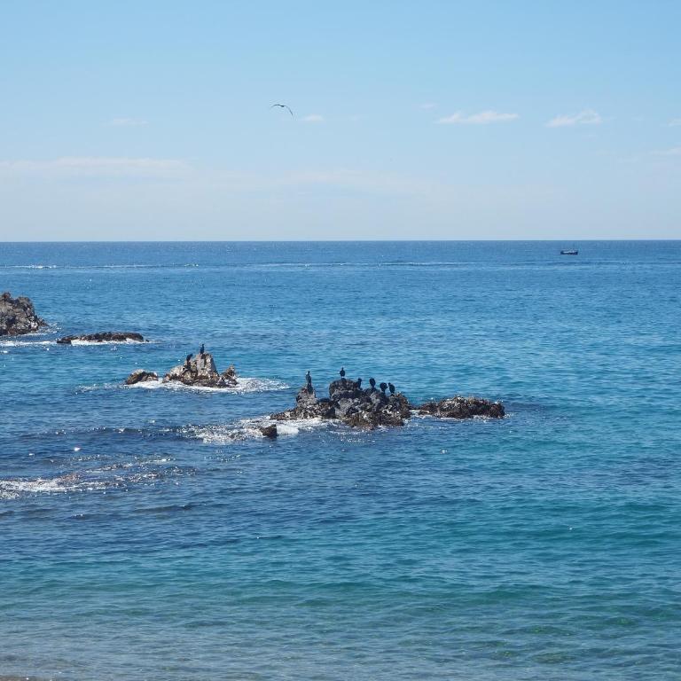 APARTAMENTO MAR I CEL - Apartamento de 2 dormitorios - 45