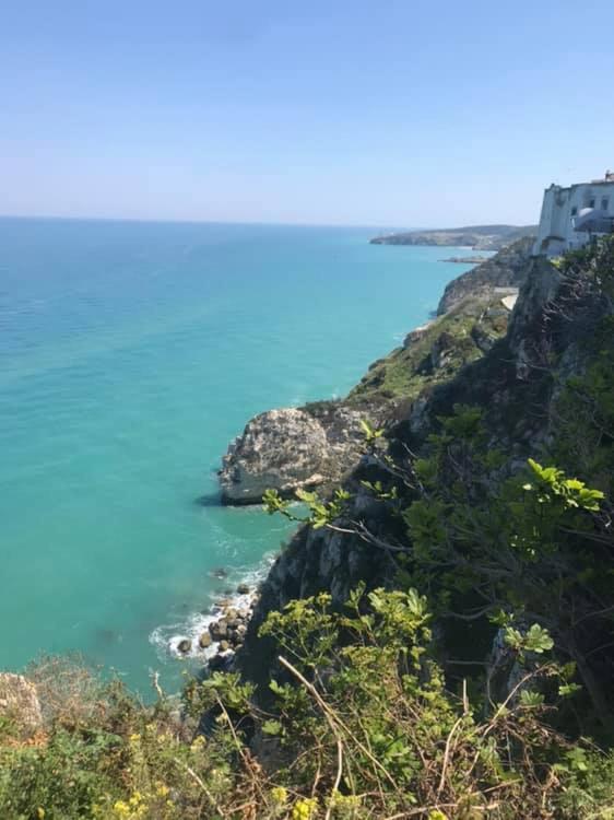Monolocali Pozzo dei Desideri - Casa Vacanze - 2