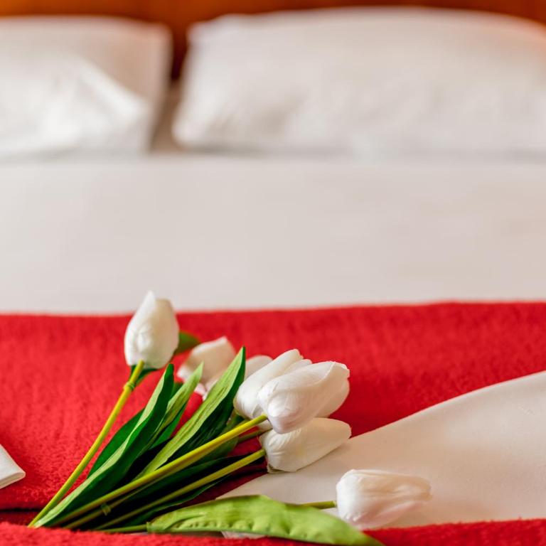 Apartmani Laban - Apartman sa 1 Spavaćom Sobom - 16