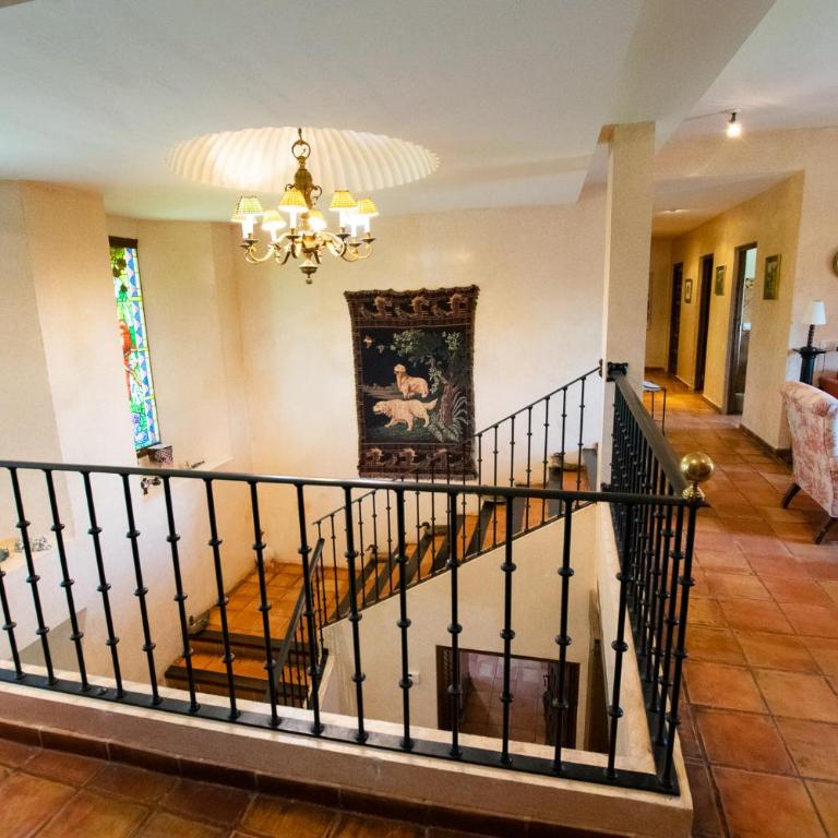 Finca el Consul - Five-Bedroom House - 22