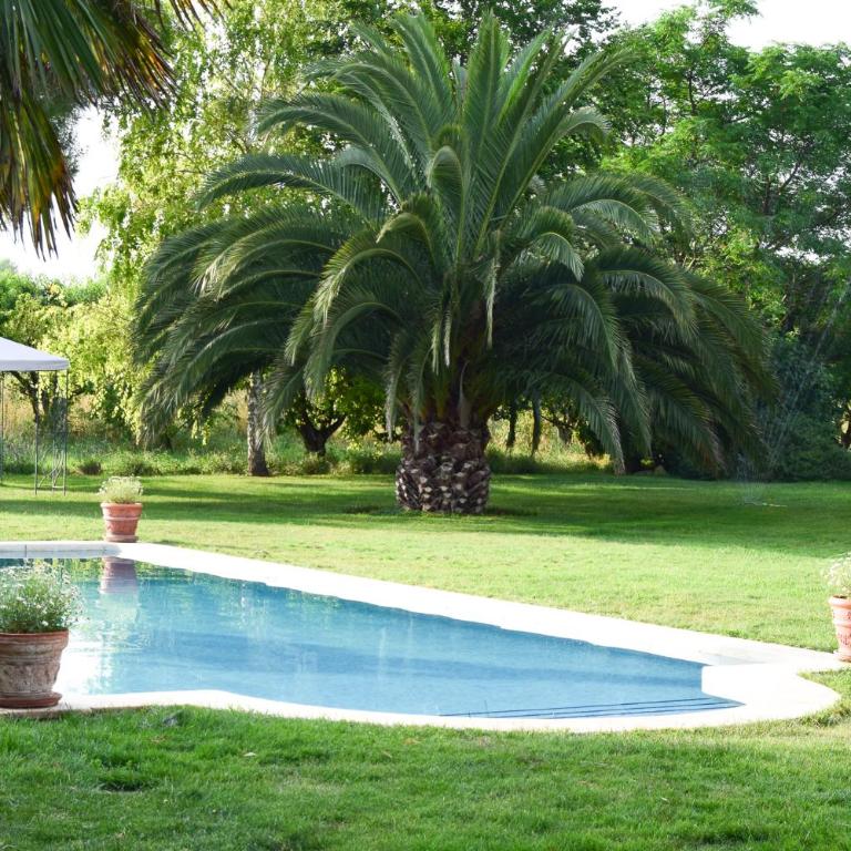 Finca el Consul - Five-Bedroom House - 7