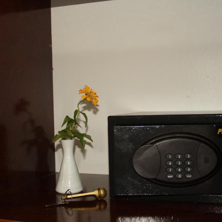Hotel Danica - Dvokrevetna Soba sa Bračnim Krevetom i Balkonom (2 Odrasle Osobe + 1 Dete) - 10