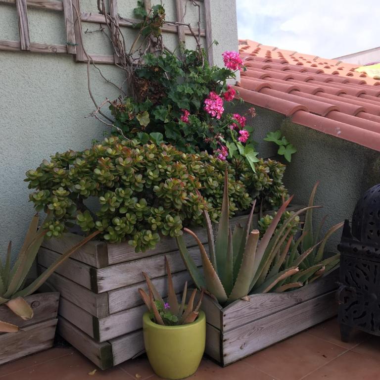 Atico San Crispin - Apartamento Ático - 53