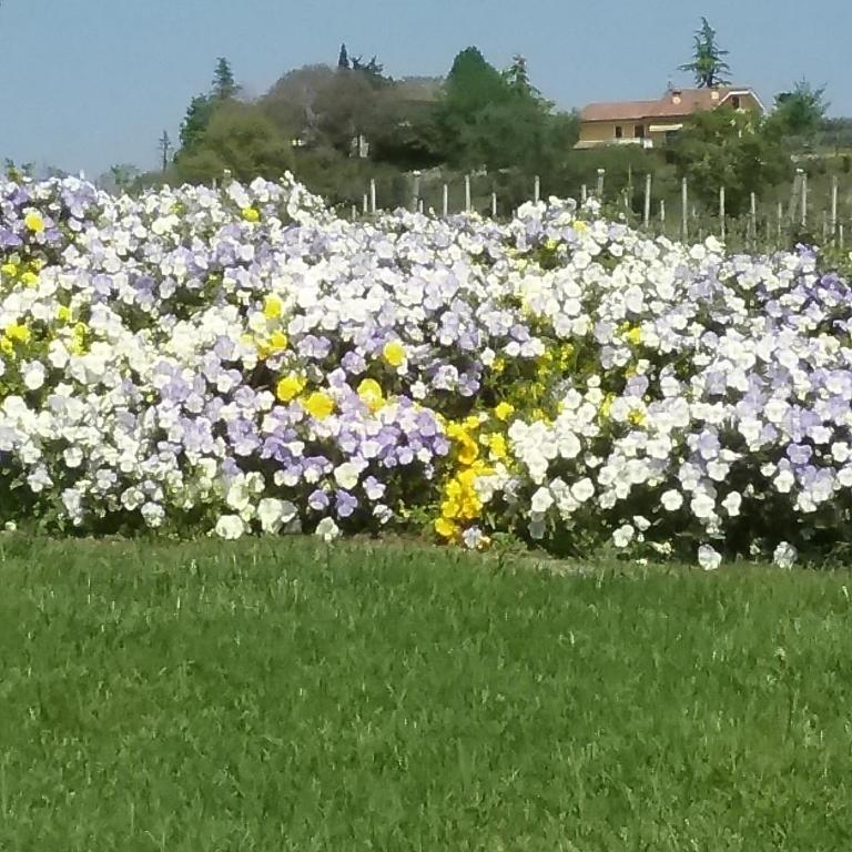 Appartamento Filippo - Appartamento - 18