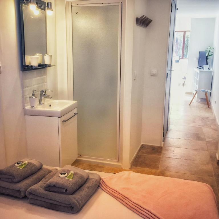 Villa du Cros - Appartamento con doccia - 19