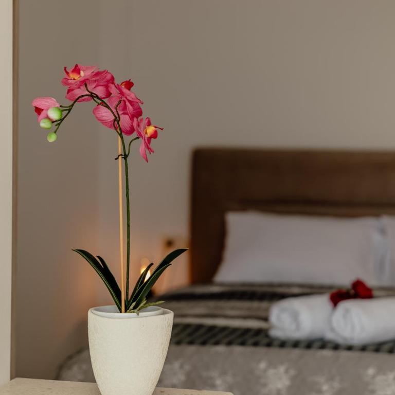 Apartments Belvedere - Studio Apartment with Sea View - 12
