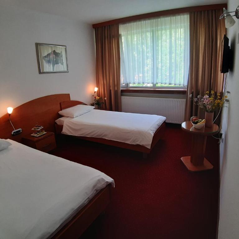 Park Hotel - Standard Double or Twin Room with Garden View - 3