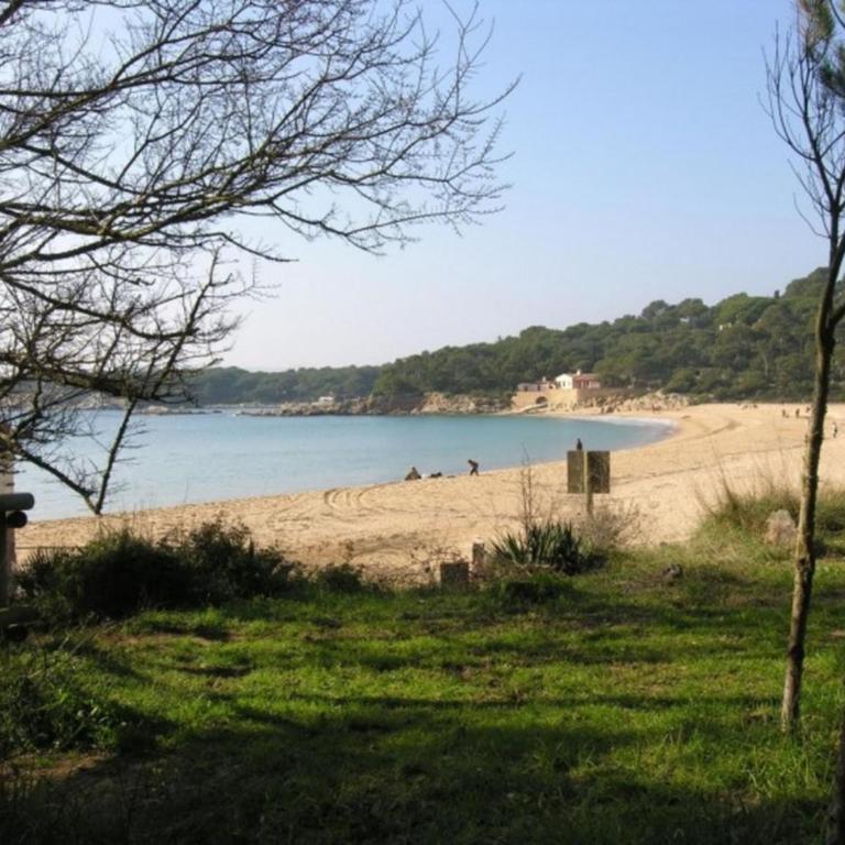 M11 ap 150 m playa La Fosca 6 pers luminoso - Apartamento con terraza - 37