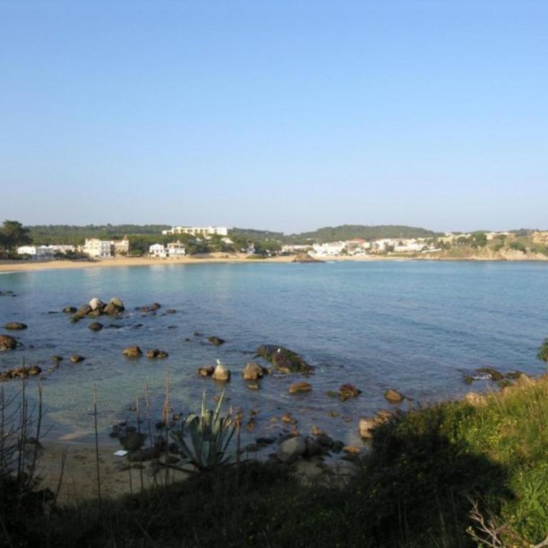 M11 ap 150 m playa La Fosca 6 pers luminoso - Apartamento con terraza - 28