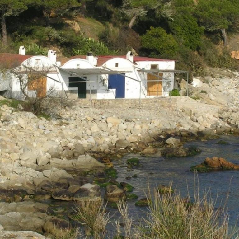 M11 ap 150 m playa La Fosca 6 pers luminoso - Apartamento con terraza - 36