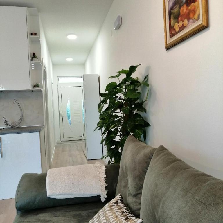 Apartments Tivat - Superior Apartman - 8