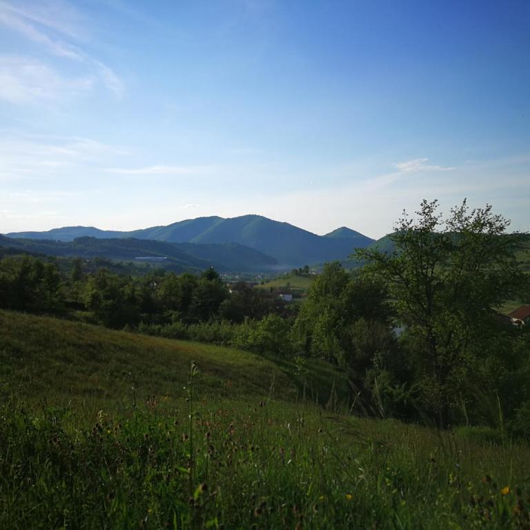 Green Idylle -Pyramid View - Vikendica - 29