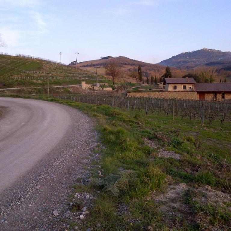 Azienda Agricola A Bonacchi - Appartamento con 1 Camera da Letto - 27